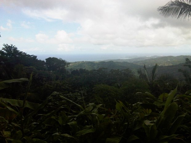 img00029-20090619-1441