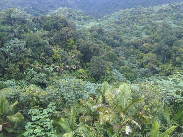 img00036-20090619-1455