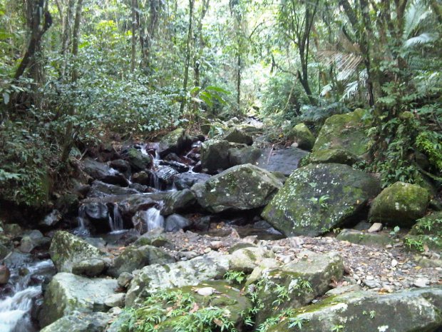 img00037-20090619-1520