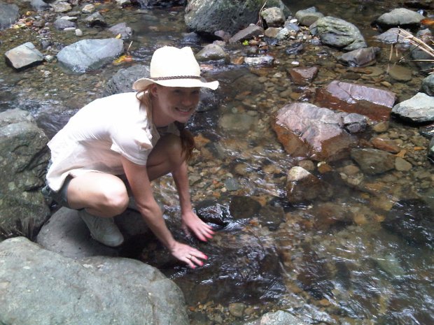 img00042-20090619-1529